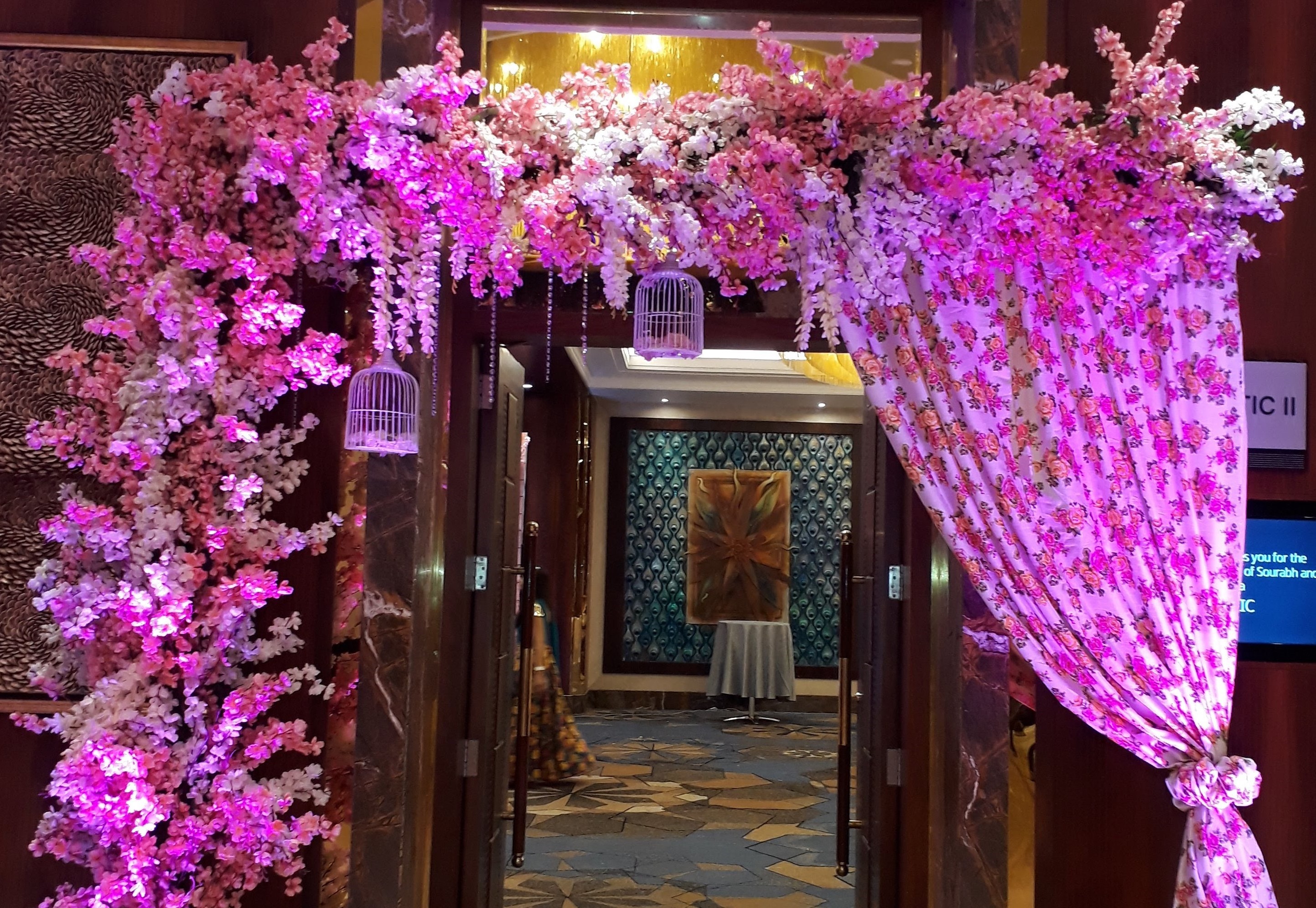 Content Image